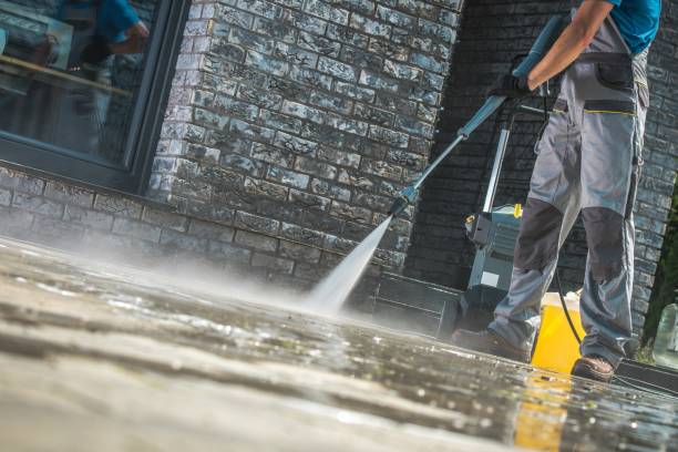Best Patio and Deck Pressure Washing  in Waimanalo Beach, HI