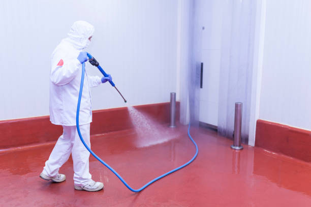 Best Dumpster Area Cleaning  in Waimanalo Beach, HI